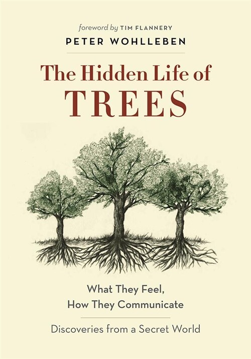 [중고] The Hidden Life of Trees: What They Feel, How They Communicate--Discoveries from a Secret World (Hardcover)