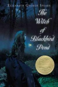 The Witch of Blackbird Pond (Paperback)