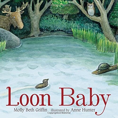 Loon Baby (School & Library)