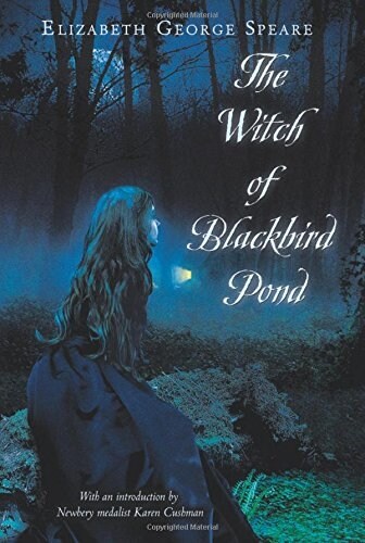 [중고] The Witch of Blackbird Pond (Paperback)