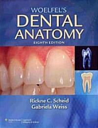 [중고] Woelfel‘s Dental Anatomy [With Access Code] (Paperback, 8)