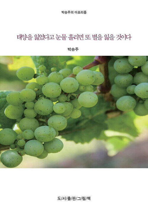 박승주의 세상에 대한 아포리즘 4 : 태양을 잃었다고 눈물 흘리면 또 별을 잃을 것이다 커버