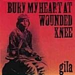 [수입] Bury my heart at wounded knee