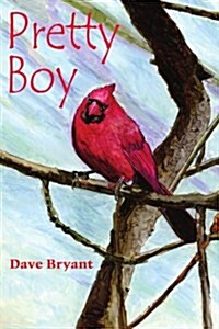 Pretty Boy (Paperback)