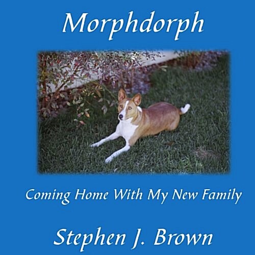 Morphdorph: Coming Home With My New Family (Paperback)