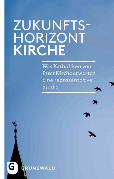 Zukunftshorizont Kirche: Was Katholiken Von Ihrer Kirche Erwarten. Eine Reprasentative Studie (Paperback)