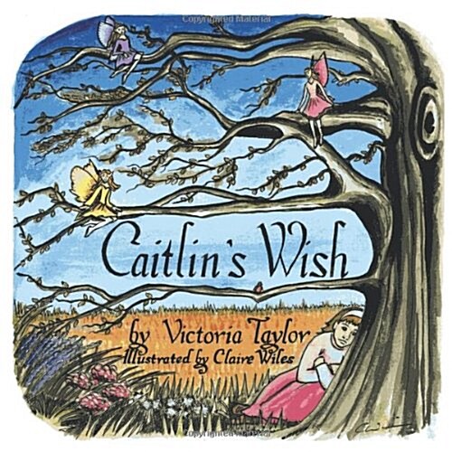 Caitlins Wish (Paperback)