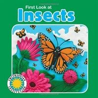 First Look at Insects (Board Book)