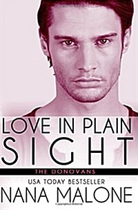 Love in Plain Sight: New Adult Romance (Paperback)