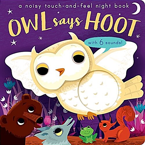 Owl Says Hoot : A Noisy Touch-and-Feel Night Book (Novelty Book)