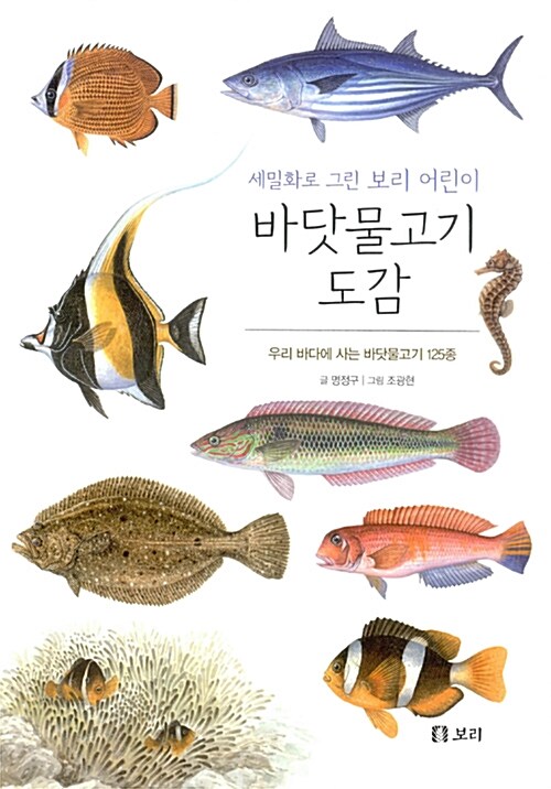 [중고] 세밀화로 그린 보리 어린이 바닷물고기 도감 (보급판)