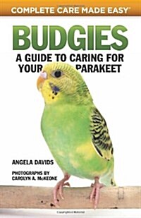 Budgies: A Guide to Caring for Your Parakeet (Paperback)