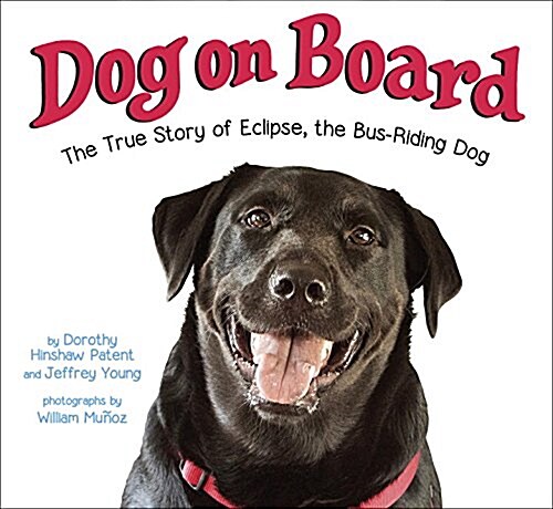 [중고] Dog on Board: The True Story of Eclipse, the Bus-Riding Dog (Hardcover)