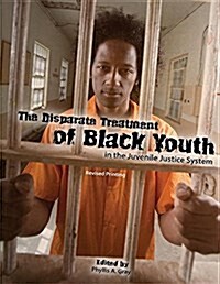 The Disparate Treatment of Black Youth in the Juvenile Justice System (Paperback)