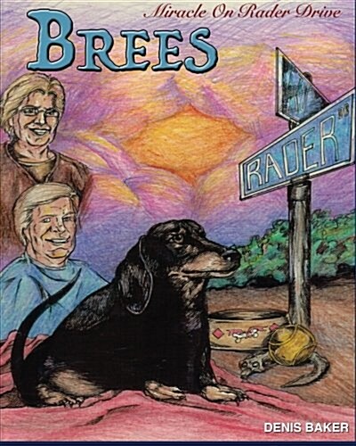 Brees - Miracle on Rader Drive: How a Loving Black and Tan Thoroughbred Dachshund Filly Named Brees Changed the Lives of Her Mom and Dad (Paperback)