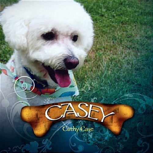 Casey (Paperback)