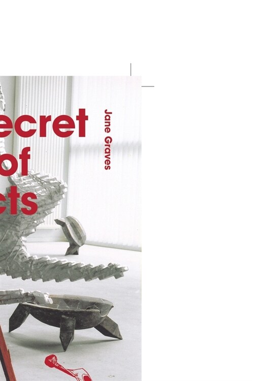 The Secret Lives of Objects (Paperback)