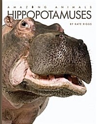 Hippopotamuses (Paperback)