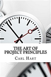 The Art of Project Principles (Paperback)