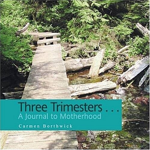 Three Trimesters ... a Journal to Motherhood (Paperback)