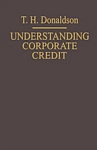 Understanding Corporate Credit : The Lending Bankers Viewpoint (Paperback)