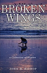 Broken Wings: A Collection of Stories (Paperback)
