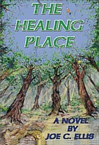 The Healing Place (Paperback)