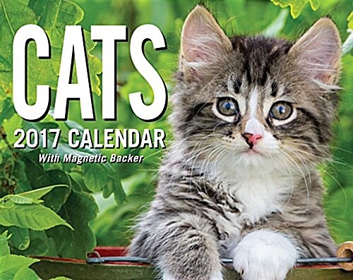 Cats 2017 Mini Day-To-Day Calendar (Daily)