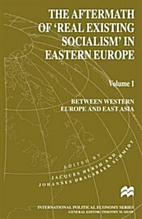 The Aftermath of Real Existing Socialism in Eastern Europe : Volume 1: Between Western Europe and East Asia (Paperback, 1st ed. 1996)