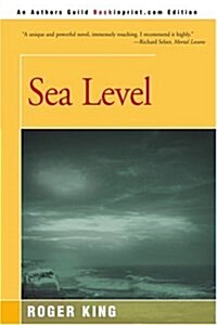 Sea Level (Paperback)