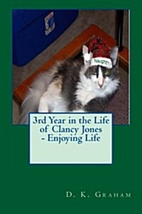 3rd Year in the Life of Clancy Jones - Enjoying Life (Paperback)