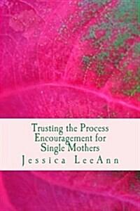 Trusting the Process: Encouragement for Single Mothers (Paperback)