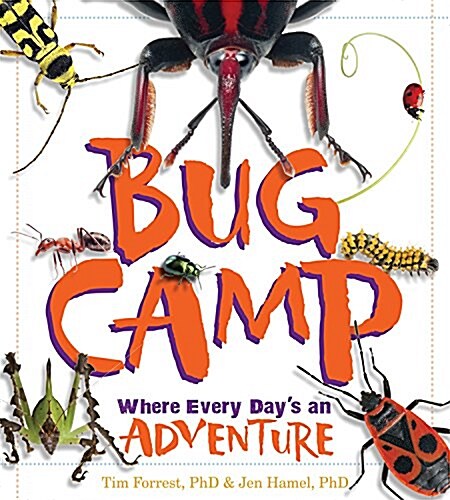 Bug Camp: Where Every Days an Adventure (Hardcover)