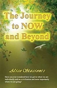 The Journey to Now and Beyond (Paperback)