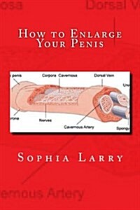 How to Enlarge Your Penis: Enlarge Your Penis by Combination of All Natural Methods (Paperback)