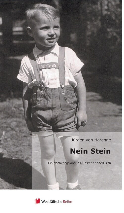 Nein Stein (Hardcover)