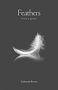 Feathers from a Ghost (Paperback)