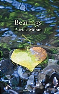 Bearings (Paperback)