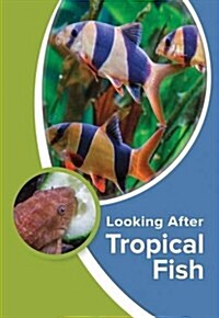 Looking After Tropical Fish (Paperback)