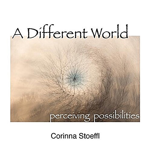 A Different World: Perceiving Possibilities (Paperback)