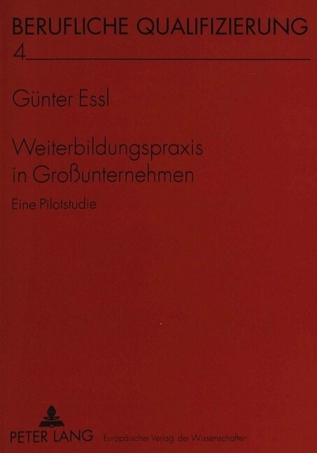 Weiterbildungspraxis in Gro?nternehmen: Eine Pilotstudie (Paperback)