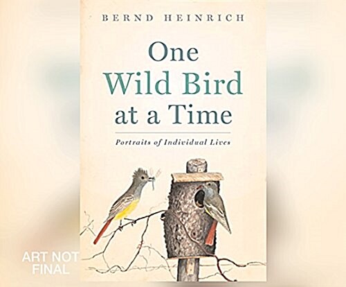 One Wild Bird at a Time: Portraits of Individual Lives (Audio CD)