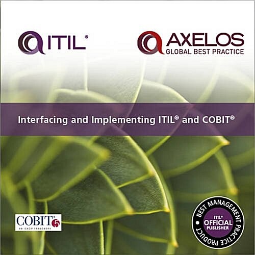 Interfacing and Adopting Itil and Cobit (Paperback)