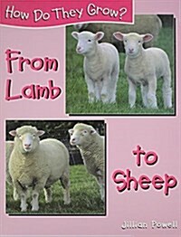 From Lamb to Sheep (Library)