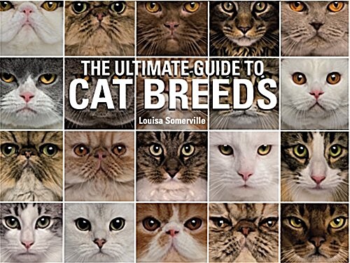 The Ultimate Guide to Cat Breeds: A Useful Means of Identifying the Cat Breeds of the World and How to Care for Them (Hardcover)