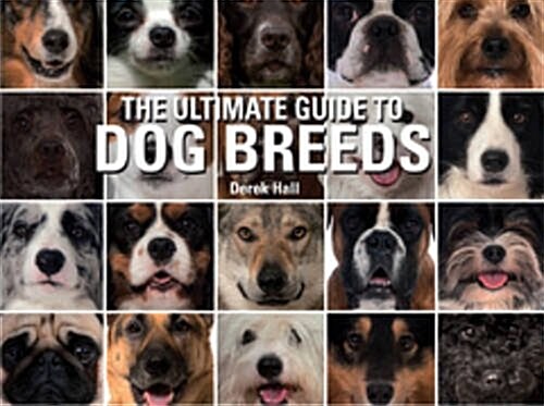 The Ultimate Guide to Dog Breeds: A Useful Means of Identifying the Dog Breeds of the World and How to Care for Them (Hardcover)