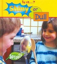 Shiny or dull 표지이미지