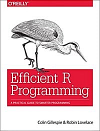[중고] Efficient R Programming: A Practical Guide to Smarter Programming (Paperback)