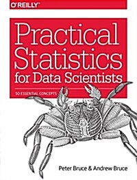 [중고] Practical Statistics for Data Scientists: 50 Essential Concepts (Paperback)