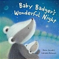 Baby Badgers Wonderful Night (Hardcover)